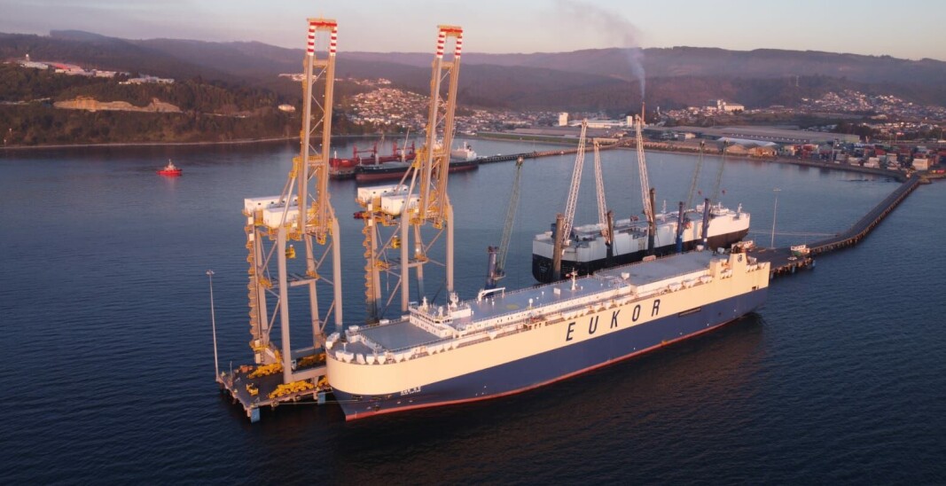 La nave que transportó los vehículos arribó desde un puerto en Corea del Sur. La nave que transportó los vehículos arribó desde un puerto en Corea del Sur.