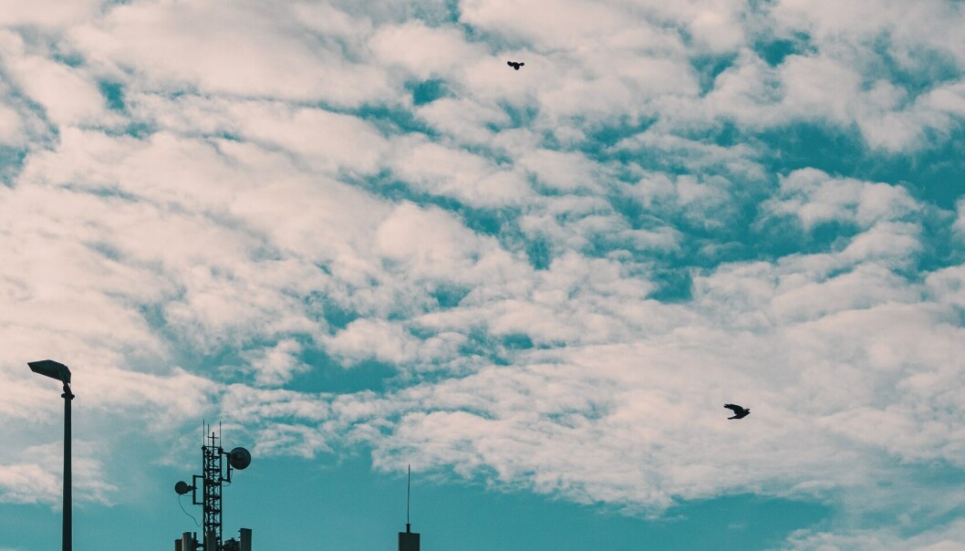 El terminal portuario de Valparaíso tendrá desde ahora una transmisión de datos optimizada que ayudará en sus tareas logísticas El terminal portuario de Valparaíso tendrá desde ahora una transmisión de datos optimizada que ayudará en sus tareas logísticas