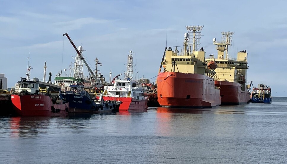 Los terminales portuarios de Magallanes muestran un alza de movimiento que se explica en buena parte por la actividad salmonicultora.