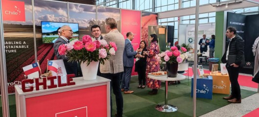 Chile promueve comercialización de flores en feria especializada más grande del mundo en Países Bajos