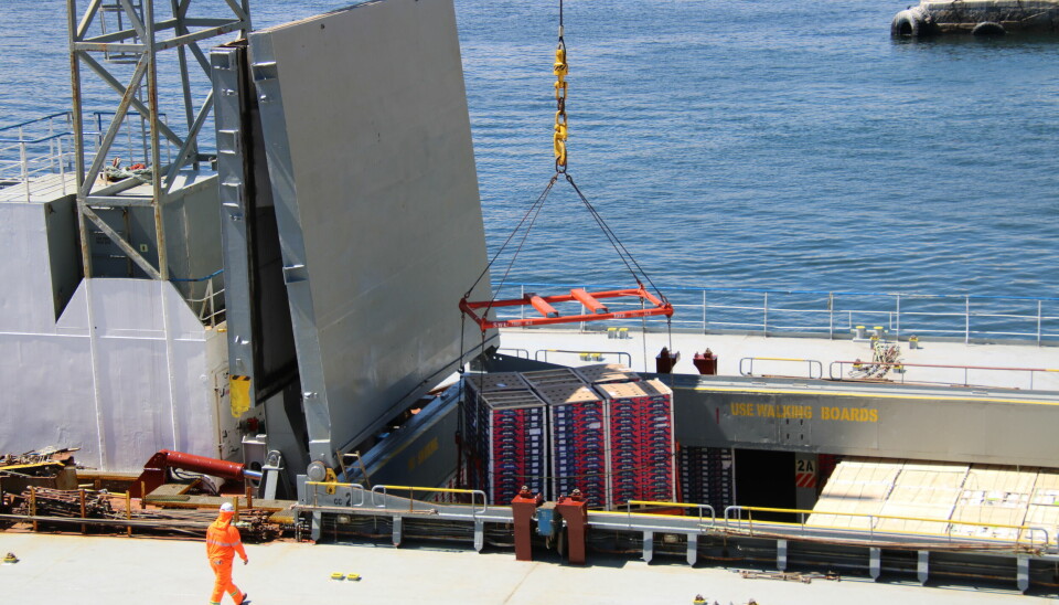 Cool Carriers se hará cargo del transporte de la fruta a Estados Unidos desde el Puerto Coronel.