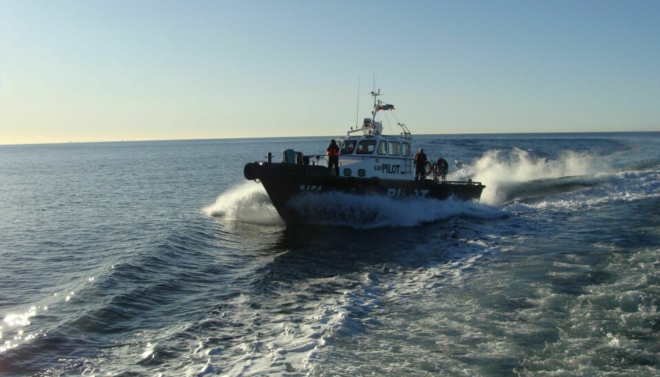 La lancha de traslado de prácticos Kipa, de la Empresas Taylor, navegando en el Estrecho de Magallanes.