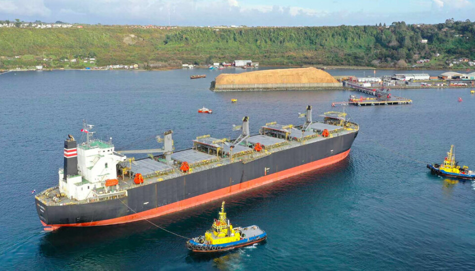 El Puerto Chincui tiene capacidad para que amarren naves multipropósito de hasta 225 metros de eslora y 37 metros de manga.
