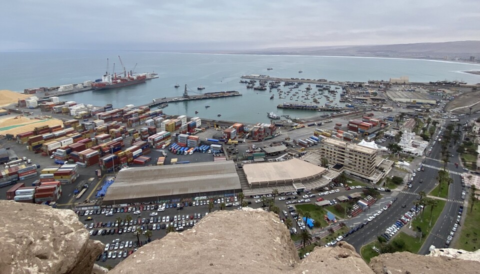 En Arica destacan la incorporación de herramientas tecnológicas para mejorar la productividad.
