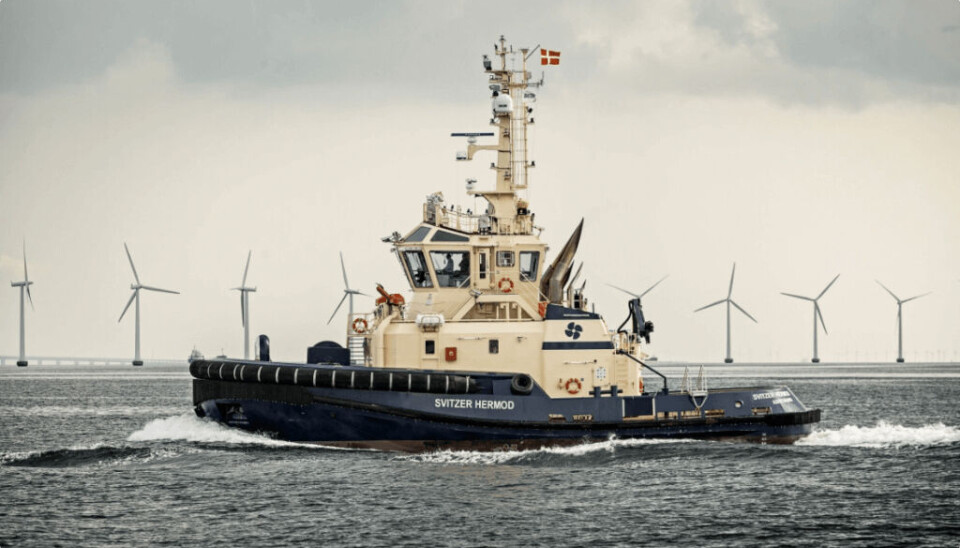 El puerto espera ser libre de carbono para el año 2040.