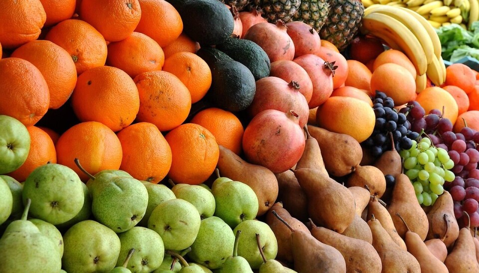 El 80% del valor total exportado corresponde a envíos de fruta fresca.